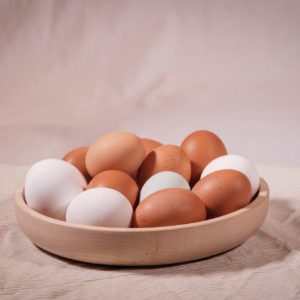 Egg